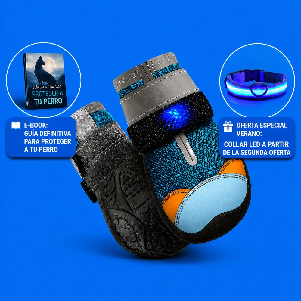 Sculpix Botas Led perro talla universal