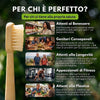 ORIGINI Spazzolino in Bambù