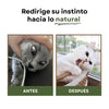 Pack Sticks Dentales Silvervine