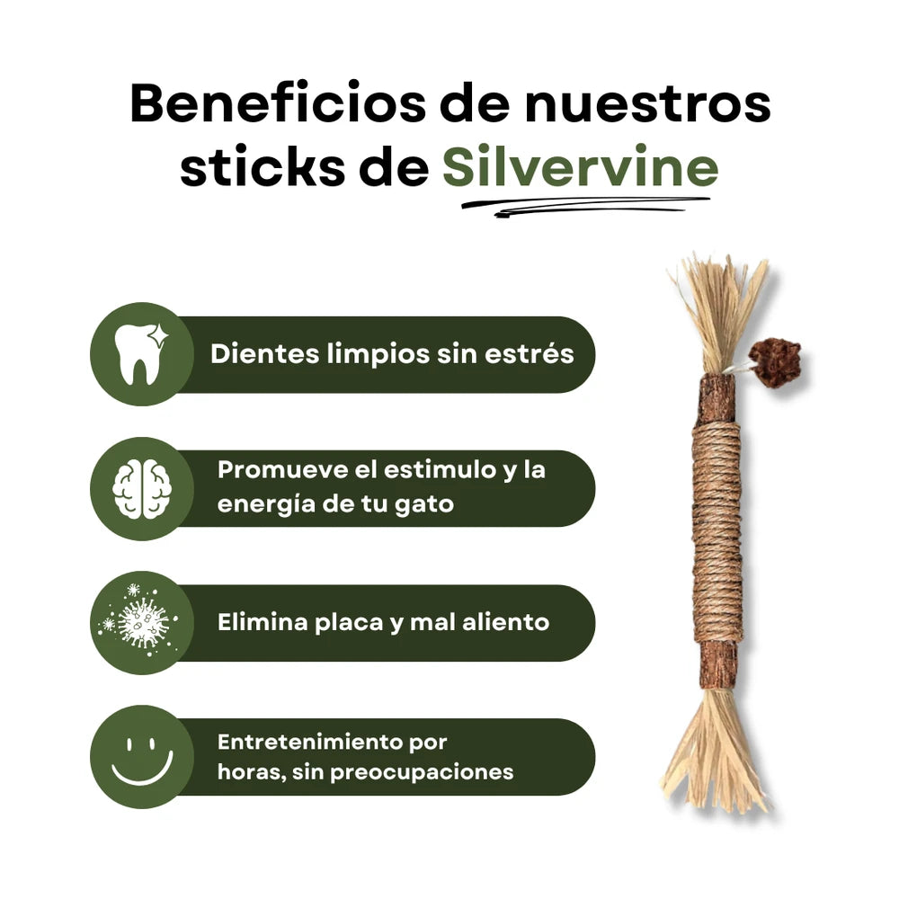 Pack Sticks Dentales Silvervine