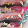 Pack Sticks Dentales Silvervine